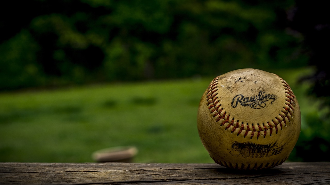 【野球】　イースタンリーグに参入したオイシックスについて解説