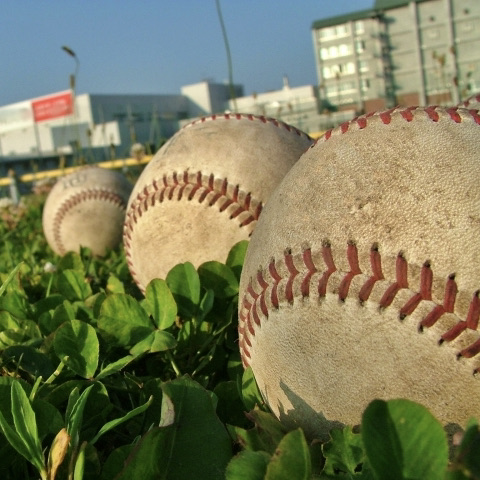 【プロ野球】現役ドラフトの参考になったメジャーリーグのルール５ドラフトとは？違いについても解説