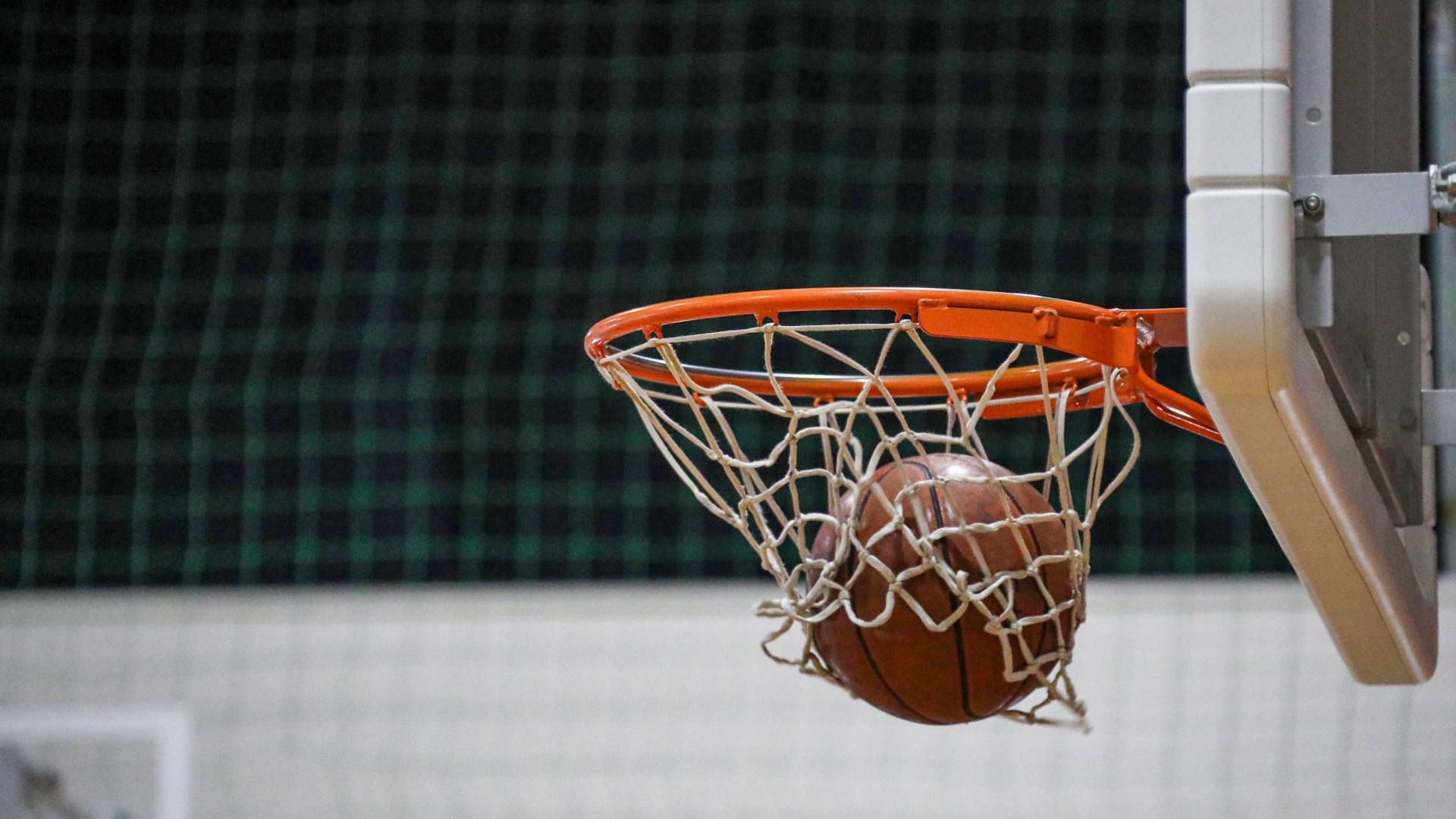 Bリーグ·B1西地区のチームや注目選手を解説！実力者も若手も一気に紹介！