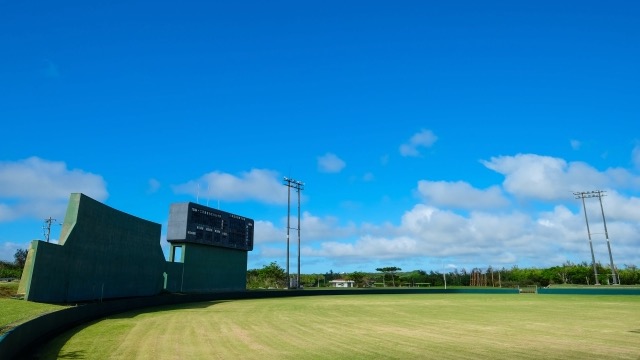 プロ野球の春季キャンプとは？歴史や楽しみ方を解説