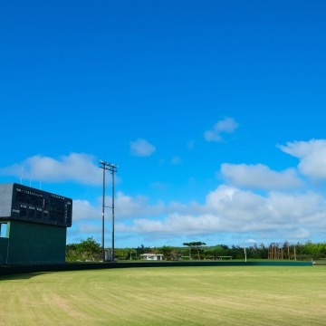 プロ野球の春季キャンプとは？歴史や楽しみ方を解説