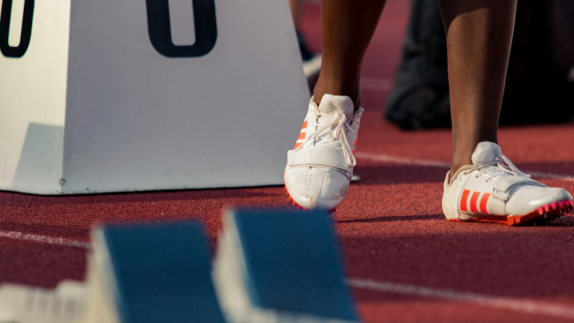 アルティメットチャンピオンシップは賞金総額1000万ドル!?高額賞金を争う注目選手を紹介